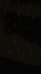 Black Cat Running GIF