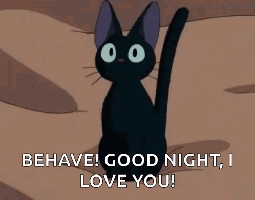 Black Cat Saying Behave Good Night Love GIF