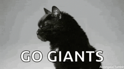 Black Cat Saying Go Giants GIF