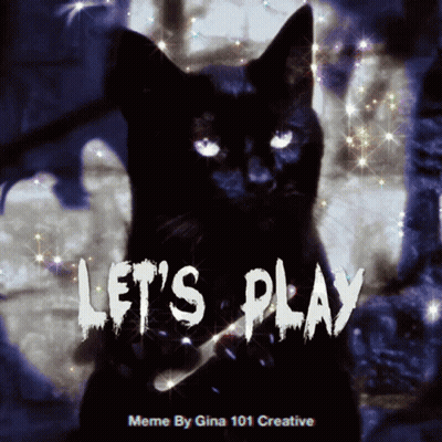 Black Cat Saying Let's Play GIF