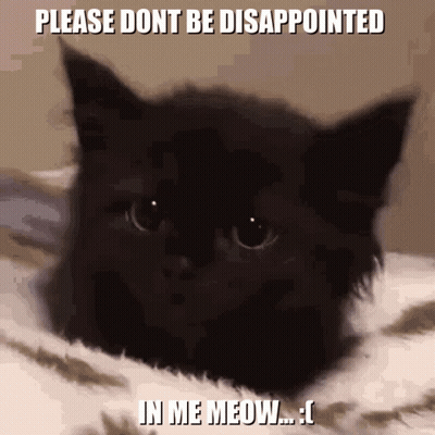 Black Cat Saying Please Don't Be Disappointed In Me Meow GIF