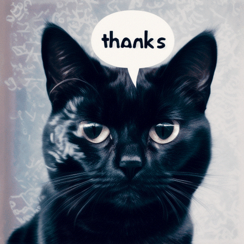 Black Cat Saying Thanks GIF
