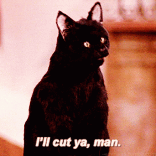 Black Cat Says I'll Cut Ya Man GIF