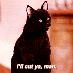 Black Cat Says I'll Cut Ya Man GIF