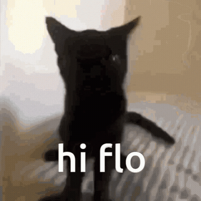Black Cat Silhouette Hi Flo GIF
