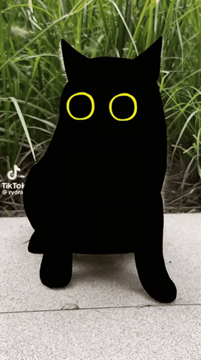 Black Cat Silhouette With Yellow Eyes TikTok Watermark GIF