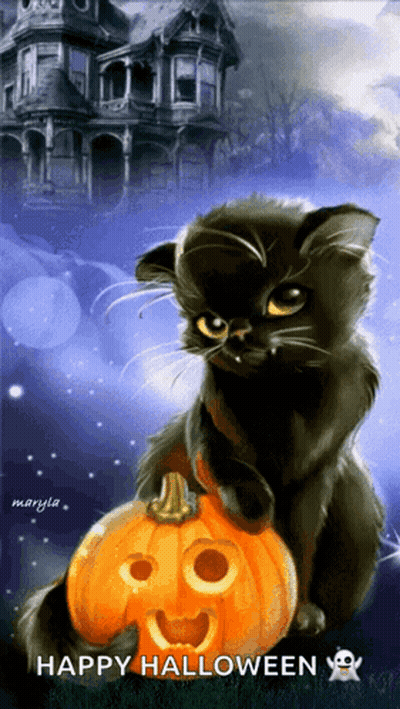 Black Cat Sitting Beside Carved Pumpkin GIF