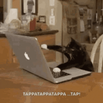 Black Cat Sitting In Front Of Apple Laptop GIF