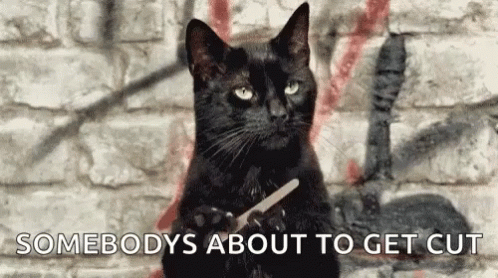 Black Cat Sitting In Front Of Brick Wall Holding Scissors GIF