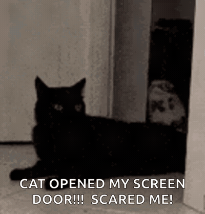Black Cat Sitting In Front Of Door GIF