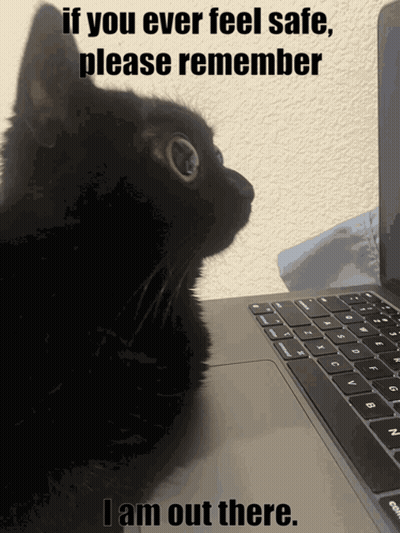 Black Cat Sitting In Front Of Laptop Saying If You Ever Feel Safe Please Remember I Am Out There GIF