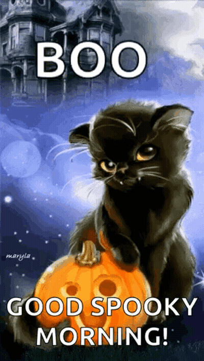 Black Cat Sitting Next To Pumpkin Saying Boo Good Spooky Morning GIF