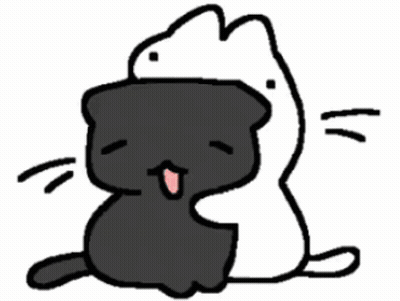 Black Cat Sitting Next To White Cat GIF