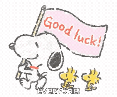 Black Cat Sitting On Bun Saying Good Luck GIF