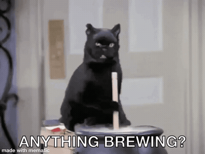 Black Cat Sitting On Cauldron Brewing GIF