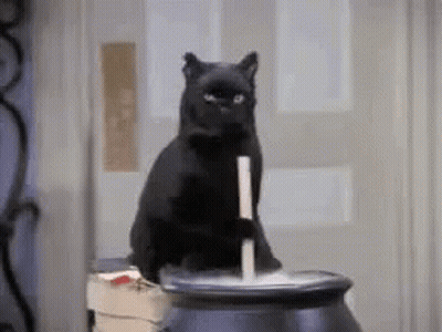 Black Cat Sitting On Cauldron Holding Stick GIF