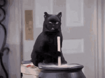 Black Cat Sitting On Cauldron With Candle In Mouth GIF