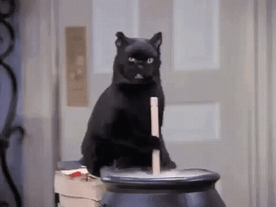 Black Cat Sitting On Cauldron With Stick GIF