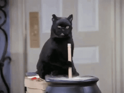 Black Cat Sitting On Cauldron With Stick GIF