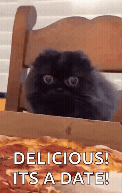Black Cat Sitting On Chair Next To Pizza GIF