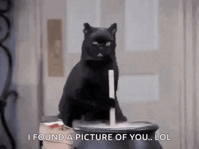 Black Cat Sitting On Pot Saying I Found A Picture Of You Lol GIF
