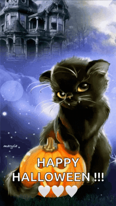 Black Cat Sitting On Pumpkin Happy Halloween GIF