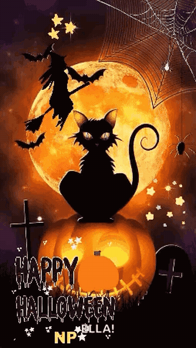 Black Cat Sitting On Pumpkin With Witch Flying Overhead GIF