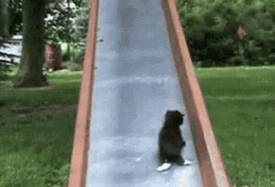 Black Cat Sitting On Slide GIF
