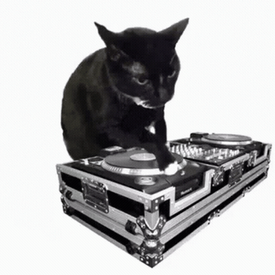 Black Cat Sitting On Turntable Saying Scratch Scratch Scratch GIF