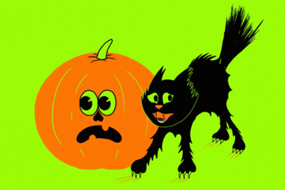 Black Cat Standing Next To Orange Pumpkin GIF