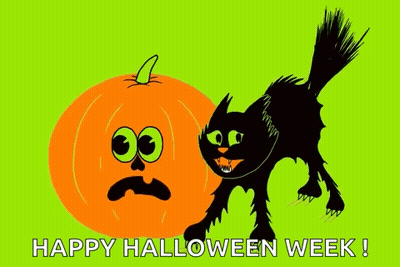 Black Cat Standing Next To Orange Pumpkin Sad Face Happy Halloween Week GIF