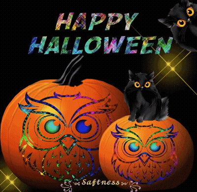 Black Cat Standing Next To Sad Pumpkin Saying Happy Halloween Week GIF