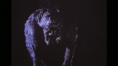 Black Cat Standing On Hind Legs Agony Stage GIF