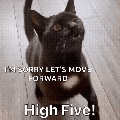 Black Cat Standing On Wooden Floor Looking Up At Camera GIF