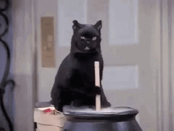 Black Cat Stirring Soup GIF