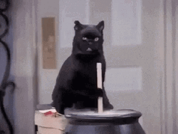 Black Cat Stirring The Pot GIF