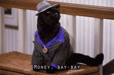 Black Cat Suit Hat Money Bay Bay GIF