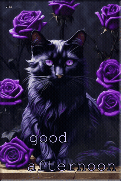 Black Cat Surrounded By Purple Roses Good Afternoon GIF