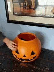 Black Cat Trick Or Treat GIF