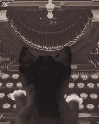 Black Cat Typing Meow GIF