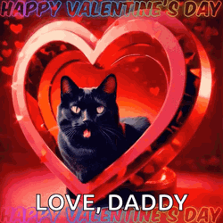 Black Cat Valentine Love For Daddy GIF
