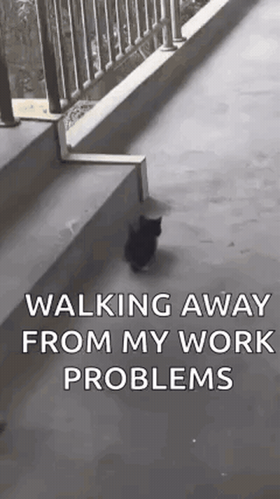 Black Cat Walking Down Stairs Away From Work Problems GIF