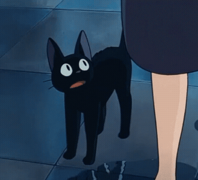 Black Cat Walking Next To Woman GIF