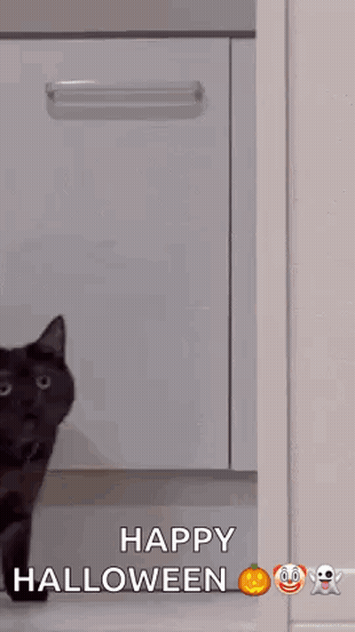 Black Cat Walking Through Doorway GIF