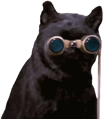 Black Cat Wearing Binoculars Sticker