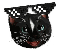 Black Cat Wearing Checkered Sunglasses Sticker