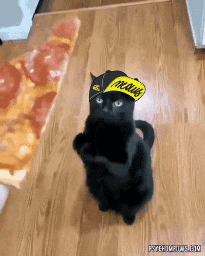 Black Cat Wearing Hat Saying I'm Nuts GIF