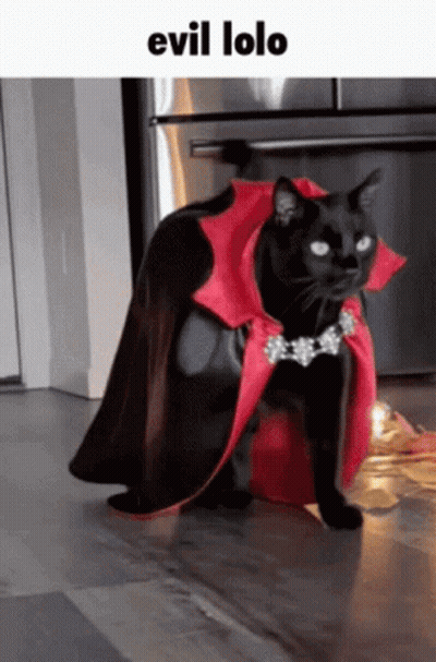 Black Cat Wearing Red Cape And Necklace Evil Lolo GIF