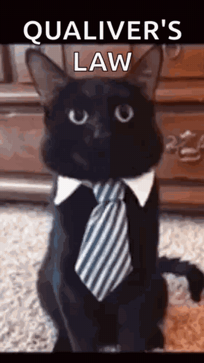 Black Cat Wearing Tie And Collar Saying Qualiver's Law GIF