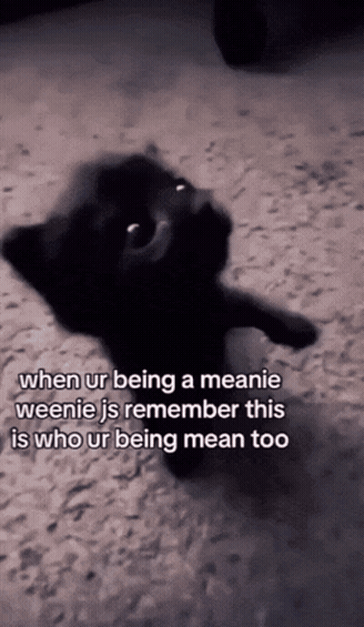 Black Cat When Being Meanie Weenie GIF